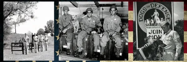 Everything You Need to Know About K-9 Veterans Day