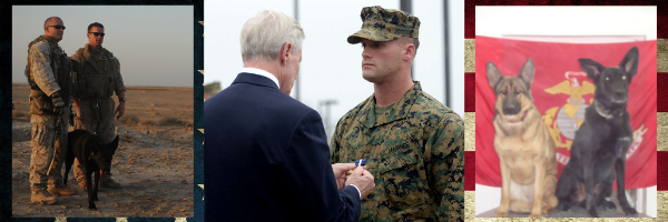 US Marine Corps Dog Handler and Navy Cross Recipient